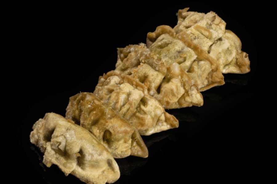 Gyoza (6 Stück, vegetarisch)